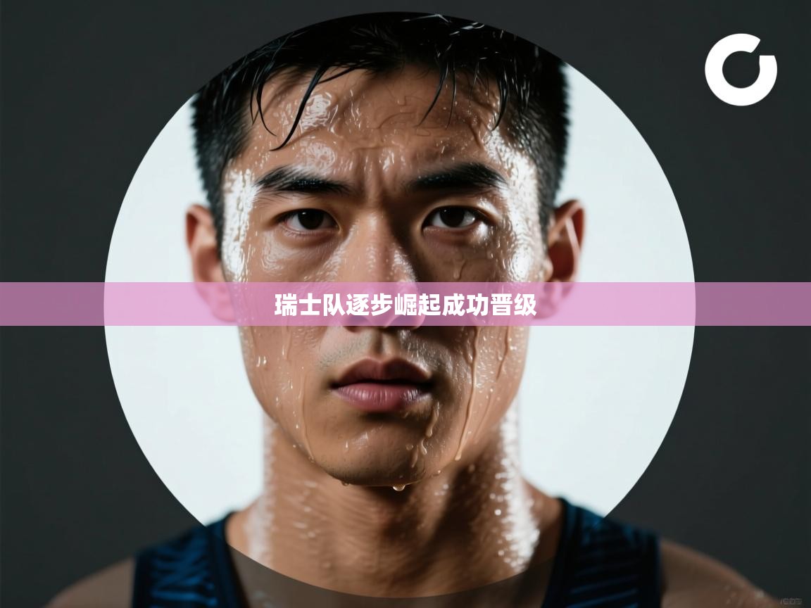 瑞士队逐步崛起成功晋级 第1张